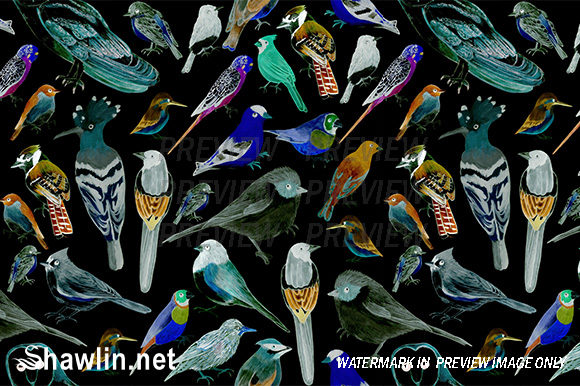 Birds of America on Charcoal