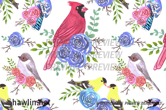 Cardinals, Bushtits Blue Jays Patterns
