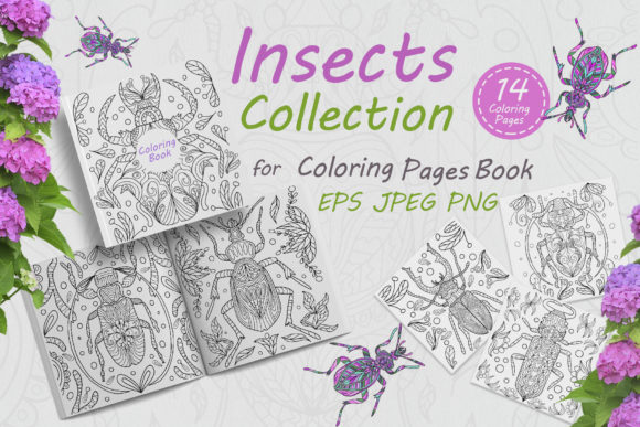 Insects Drawn with Abstract Folk Ornamen and Coloring Pages Amp