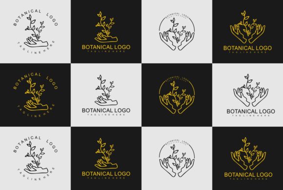 Latest Minimal Botanical Simple Logo and Logos