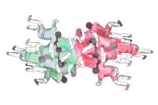 Rugby Scrum in Watercolor: Sports-Inspired Design