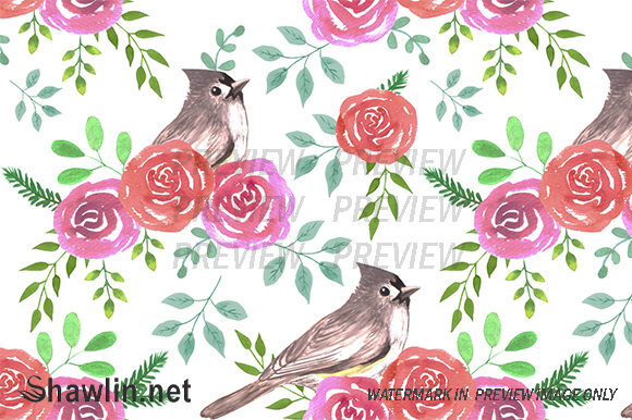 Tufted Titmouse and Roses
