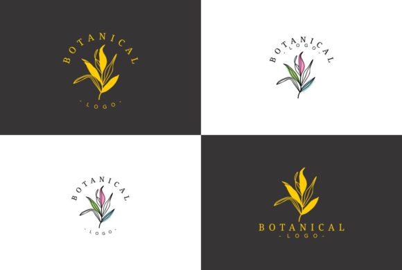 Unique Beautiful Botanical Logo Design and Logos