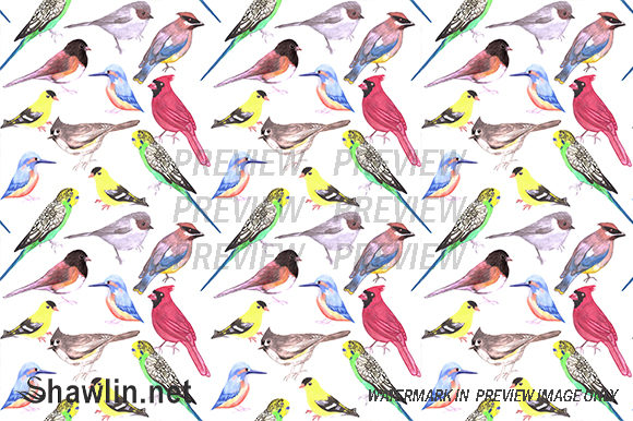 Various Birds Seamless Patterns