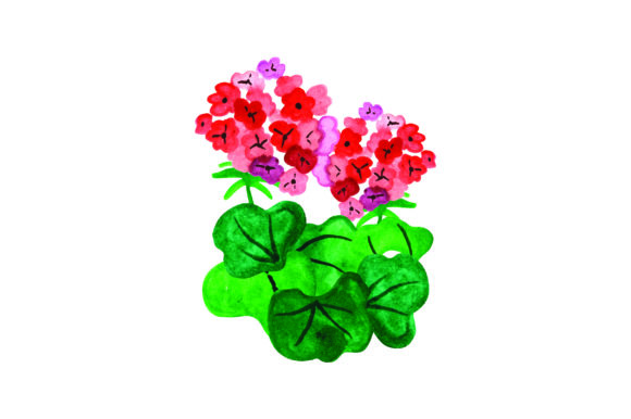 Watercolour Geraniums for Nature Amp