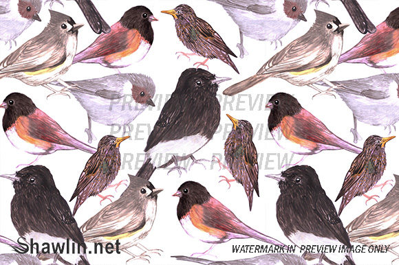 Wild Bird Seamless Background and Patterns